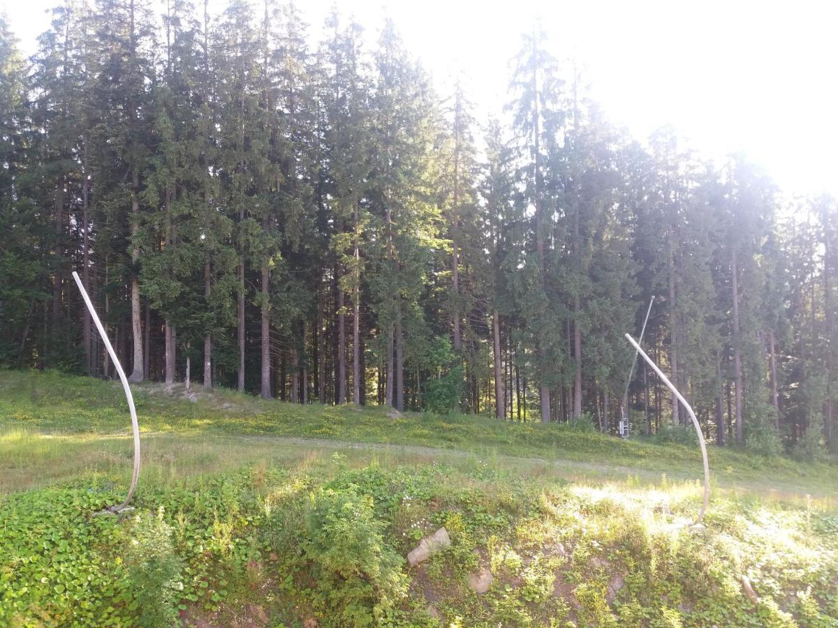 Petros Hotel Bukovel Dış mekan fotoğraf